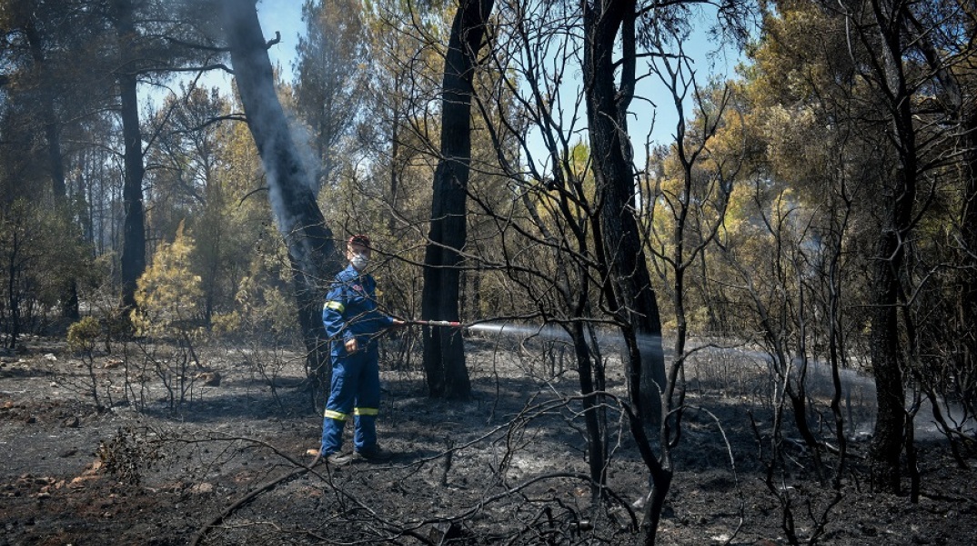 Φωτιά στη Φθιώτιδα © EUROKINISSI