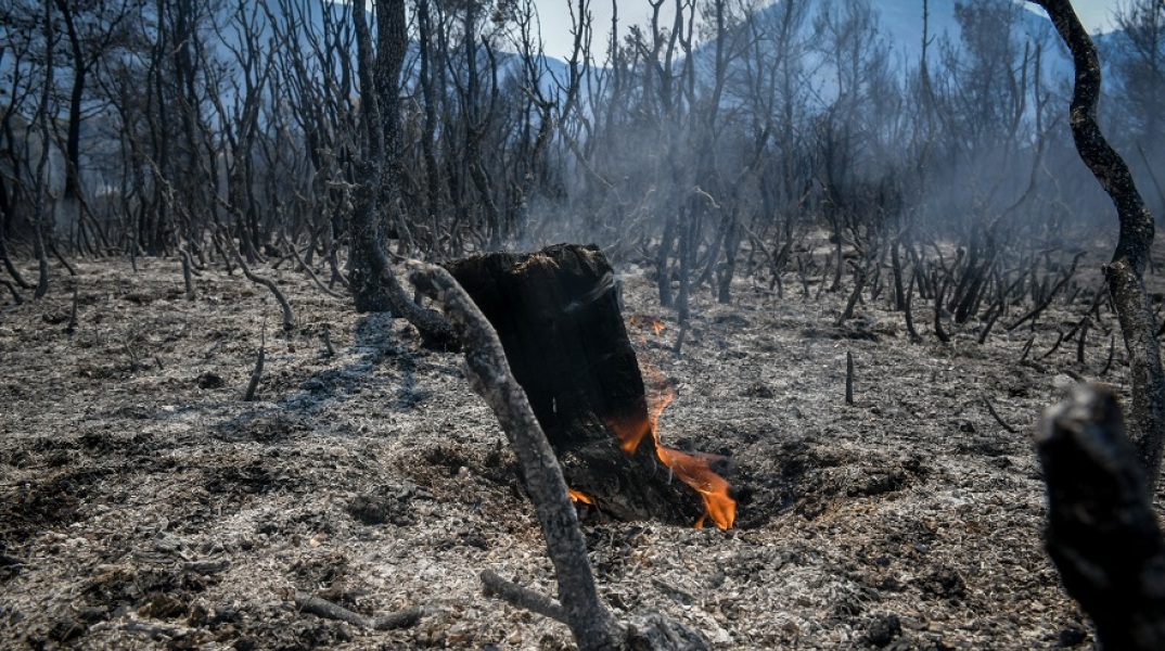 Καμένη έκταση στα Βίλια Αττικής - Σε εξέλιξη τα πύρινα μέτωπα 