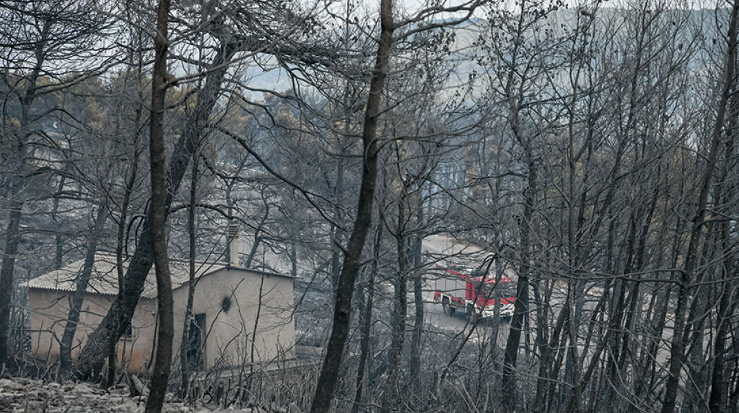 Κτίριο στα καμένα μετά το καταστροφικό πέρασμα της φωτιάς στα Βίλια