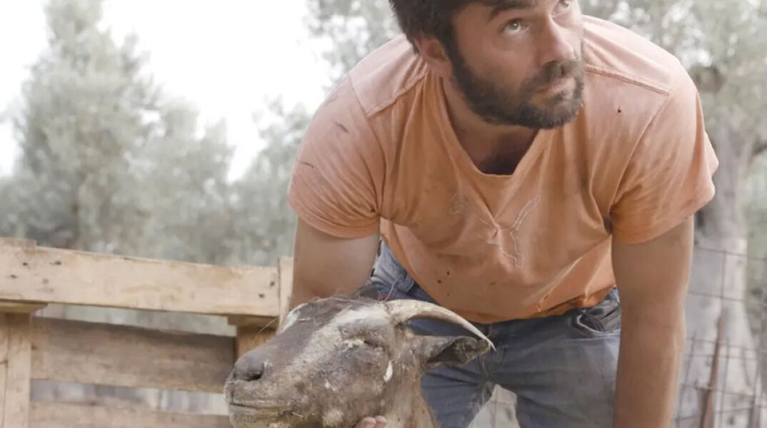 Ο βοσκός Γιάννης Τσιμπούκας μίλησε στον «Guardian» για την καταστροφή που προκάλεσαν οι πυρκαγιές στην Εύβοια