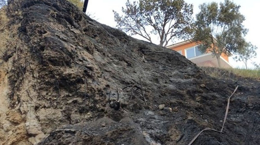 Πολύ κοντά σε σπίτια έφθασε η φωτιά στη Ζάκυνθο