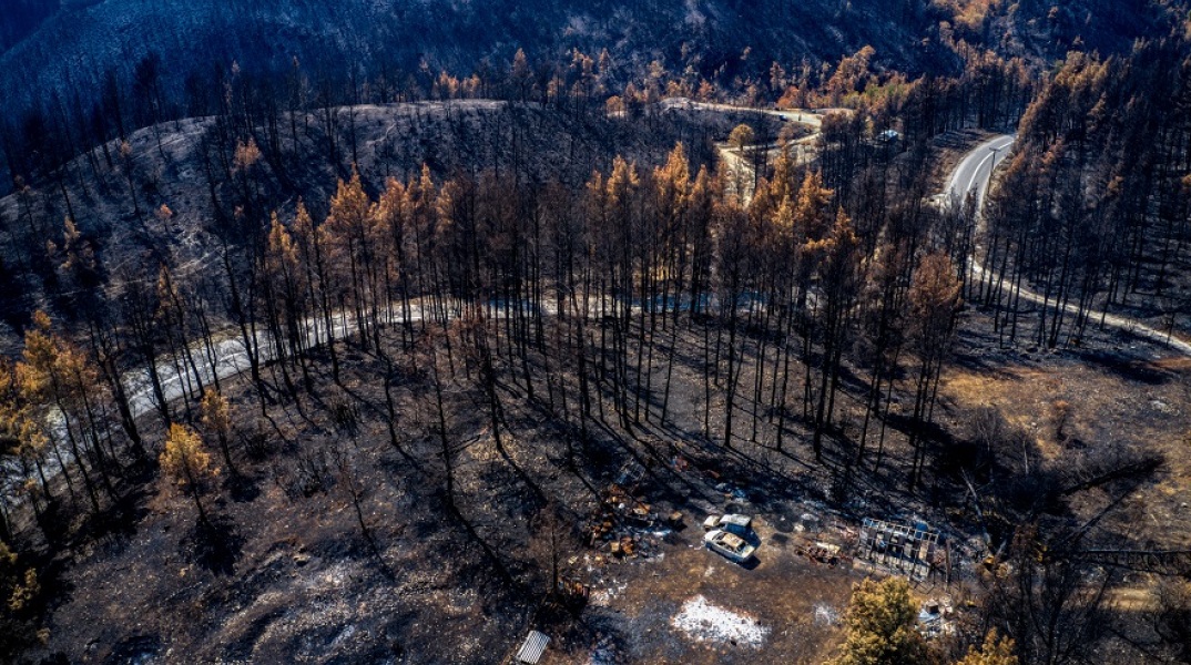 Καμένες εκτάσεις μετά τις πρόσφατες καταστροφικές πυρκαγιές στη Βόρεια Εύβοια