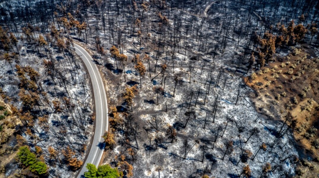 Βόρεια Εύβοια: Οι καταστροφές από τη φωτιά © EUROKINISSI 