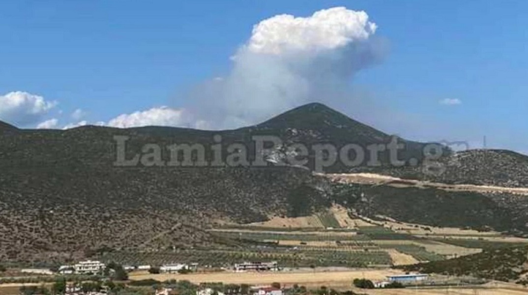 Φωτιά στο Λογγίτσι Φθιώτιδας 