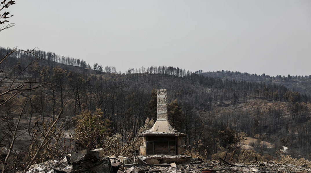 Στάχτη και αποκαΐδια από τις πυρκαγιές στη Βόρεια Εύβοια (ΦΩΤΟ ΑΡΧΕΙΟΥ) - Σε 10 πυλώνες το σχέδιο ανασυγκρότησης, όπως δήλωσε ο Σταύρος Μπένος