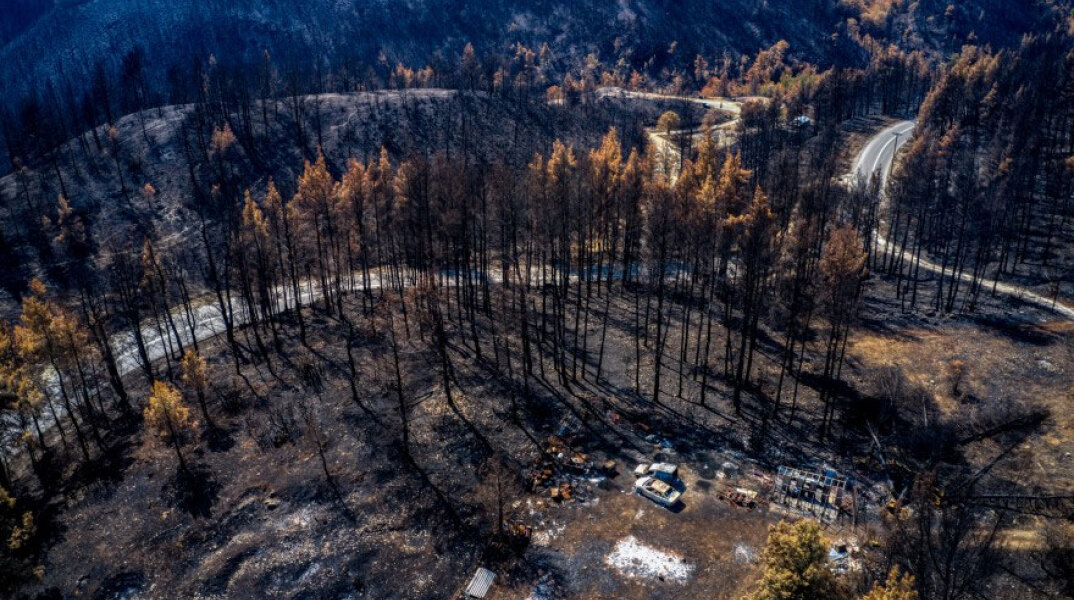 Καμένη γη στην Εύβοια μετά τις καταστροφικές πυρκαγιές (ΦΩΤΟ ΑΡΧΕΙΟΥ)
