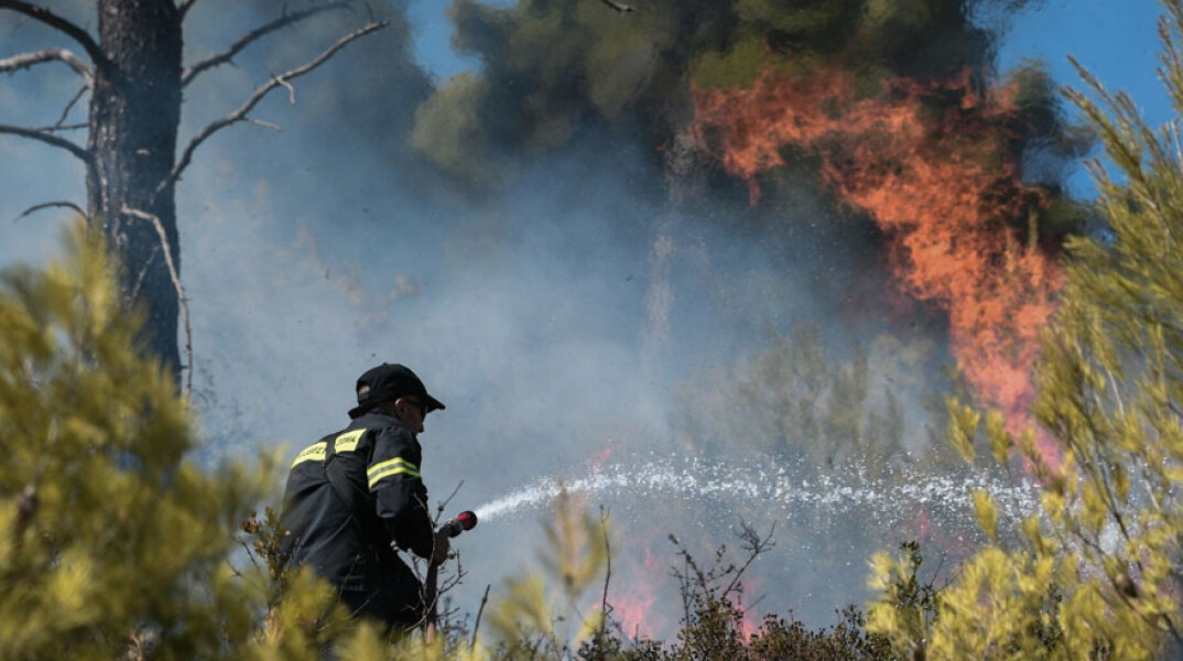 Πυροσβέστης ρίχνει νερό σε δασική πυρκαγιά - Εκδηλώθηκε φωτιά στον Κάλαμο Αττικής