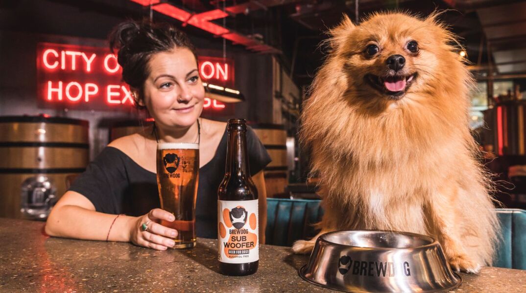 Σκύλος πίνει μπίρα