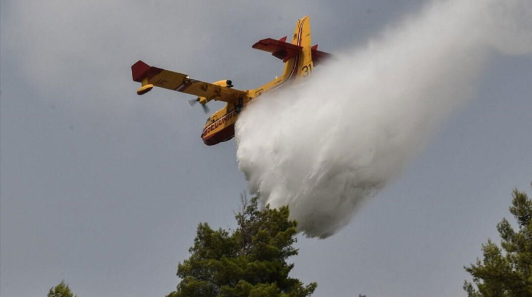Αεροσκάφος Canadair επιχειρεί σε δασική πυρκαγιά