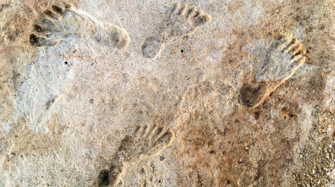 Βρέθηκαν οι αρχαιότερες πατημασιές ανθρώπων στην Αμερική