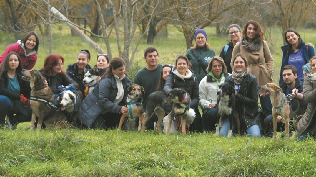 Από δραστηριότητα της Stray.gr το 2019.