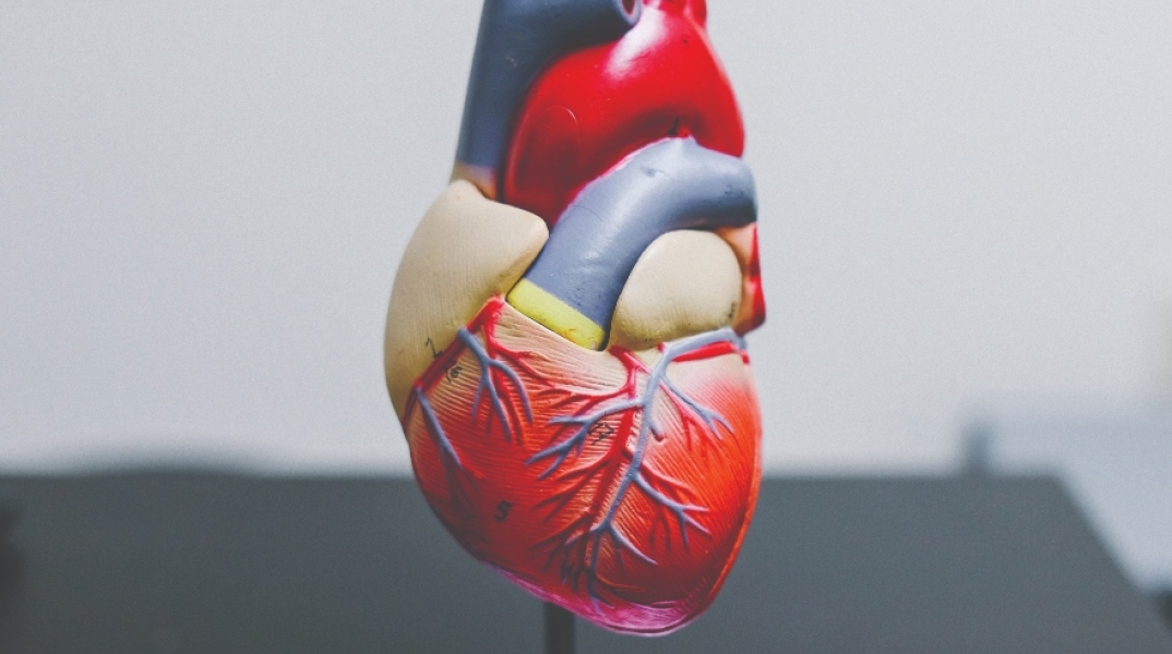 Η ανθρώπινη καρδιά