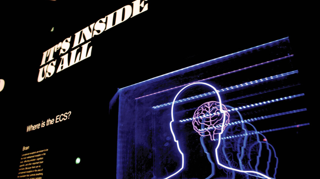 Aλτσχάιμερ: Η διατροφή ως προστατευτικός παράγοντας της νόσου  