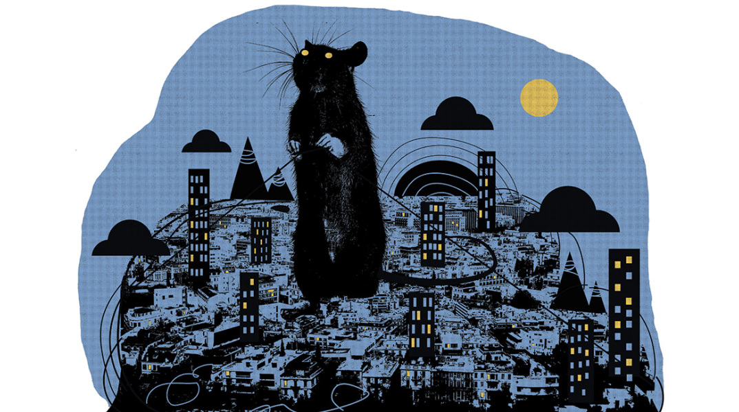 Εικονογράφηση για τα ποντίκια στην Αθήνα