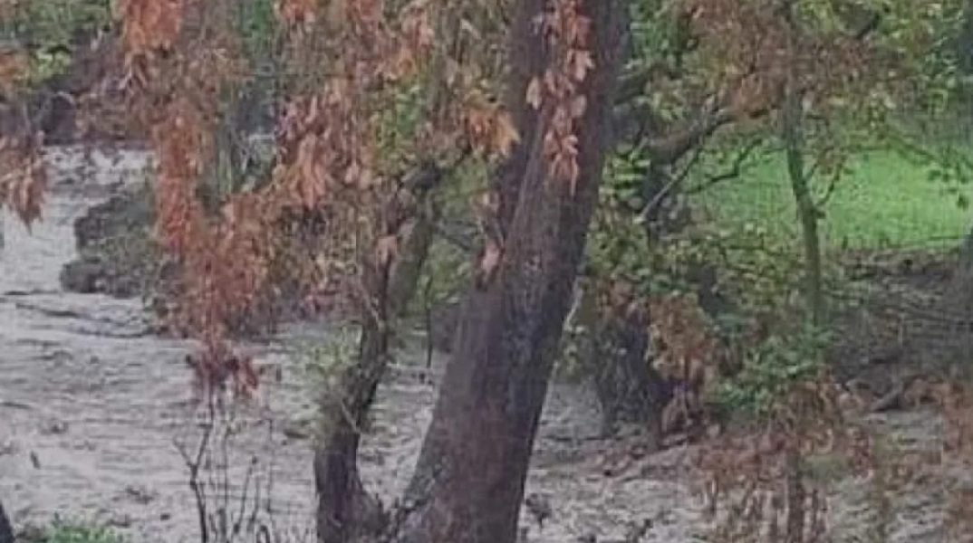 Κακοκαιρία στην Εύβοια: Έντονη βροχή στον Δήμο Μαντουδίου Λίμνης Αγίας Άννας