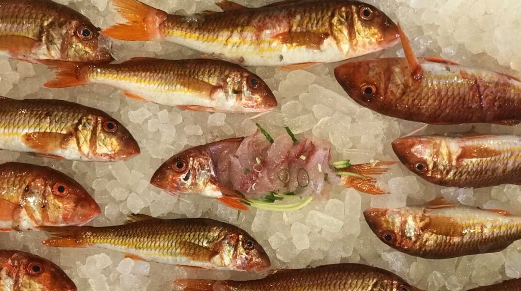 Hasapika Central Market 