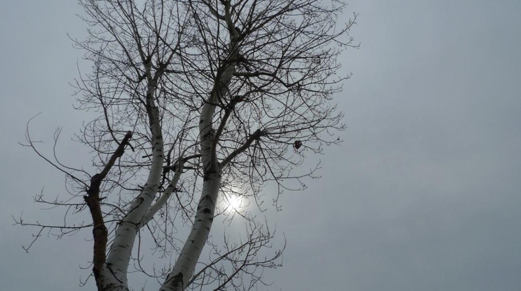 Φωτογραφία στο εξώφυλλο της συλλογής «Ποιήματα» του Ηλία Ευθυμιόπουλου (εκδ. ATHENS VOICE BOOKS)