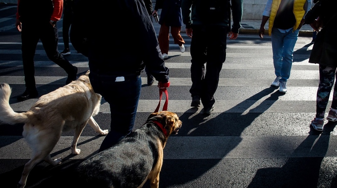 Πίνακας του ΕΟΔΥ με την κατανομή για τα κρούσματα σήμερα