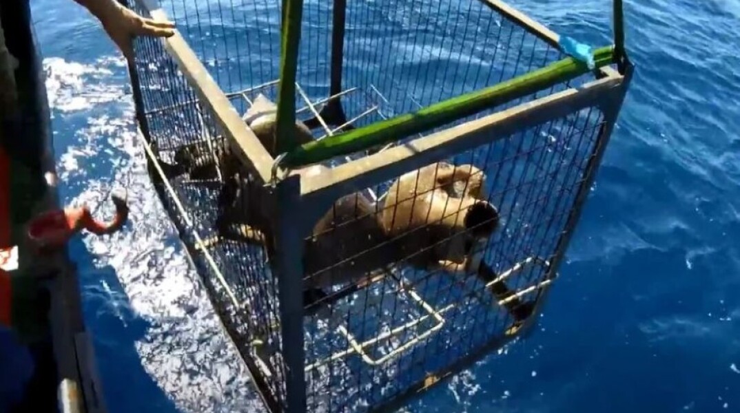 Ναυάγιο ανακαλύφθηκε στα Κύθηρα