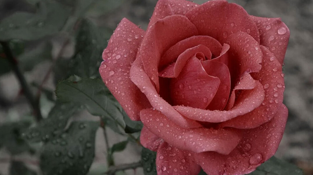 Βροχή (ΦΩΤΟ ΑΡΧΕΙΟΥ)