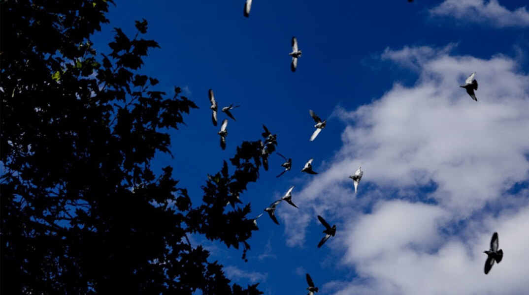 Ο καιρός σήμερα Σάββατο 20 Νοεμβρίου 2021 έχει νεφώσεις στο μεγαλύτερο μέρος της χώρας, σύμφωνα με την πρόγνωση