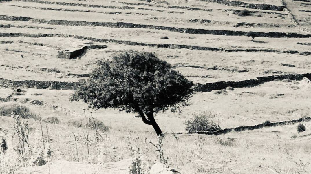 Φωτογραφία στο εξώφυλλο της συλλογής «Ποιήματα» του Ηλία Ευθυμιόπουλου (εκδ. ATHENS VOICE BOOKS)