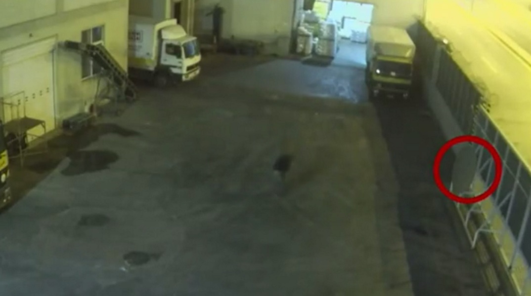 Κερατσίνι: Νέο «σκληρό» βίντεο – Έβλεπαν την 8χρονη νεκρή και δεν αντιδρούσαν