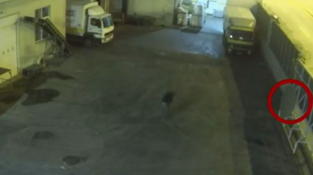 «Γκαραζόπορτα συνέθλιψε 8χρονο κοριτσάκι»