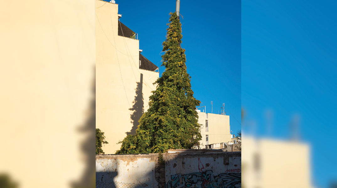 Καμινάδα σουβλακερί - χριστουγενιάτικο δέντρο