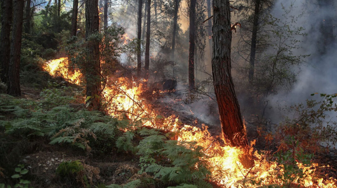 Δασική πυρκαγιά στην Τουρκία