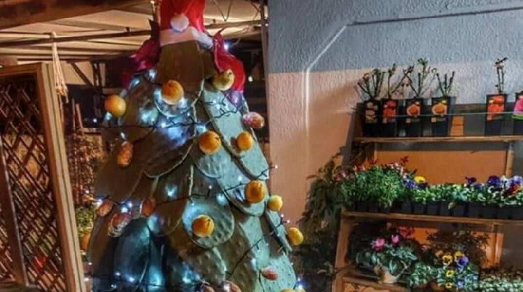 Viral το «διαφορετικό» χριστουγεννιάτικο δέντρο της Αρεόπολης