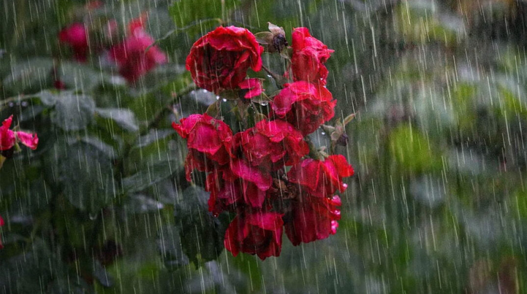 Νέα επιδείνωση καιρού από το απόγευμα της Τρίτης (14/12)