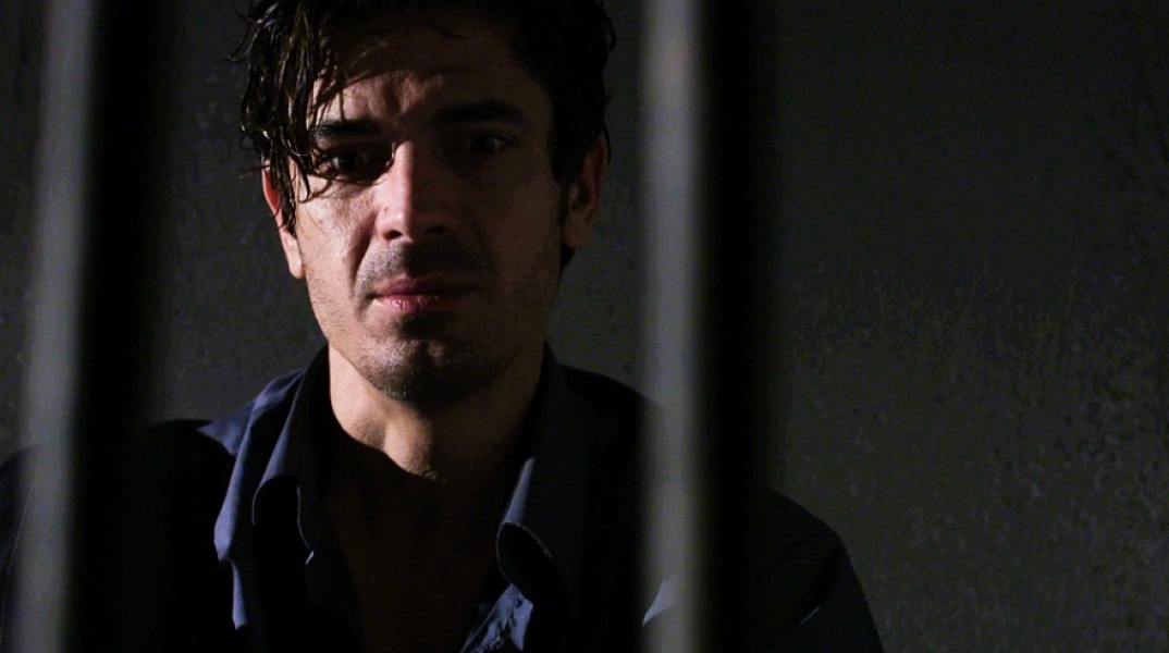 Άγριες Μέλισσες