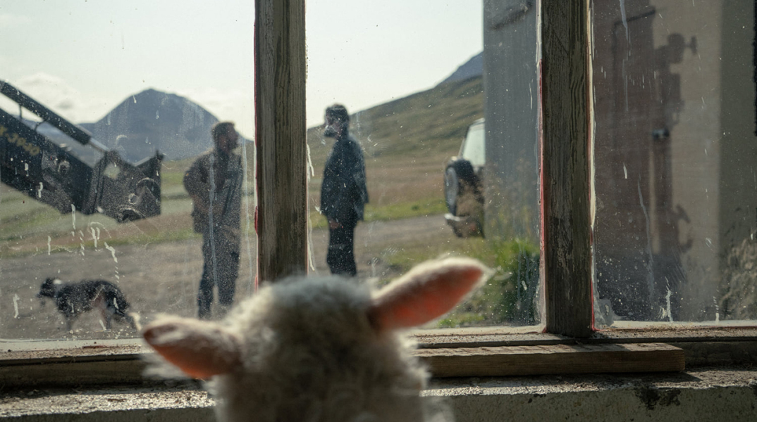 Νέες ταινίες: «Αμνός», «Χαμένοι τα Χριστούγεννα» και «Dissolved»