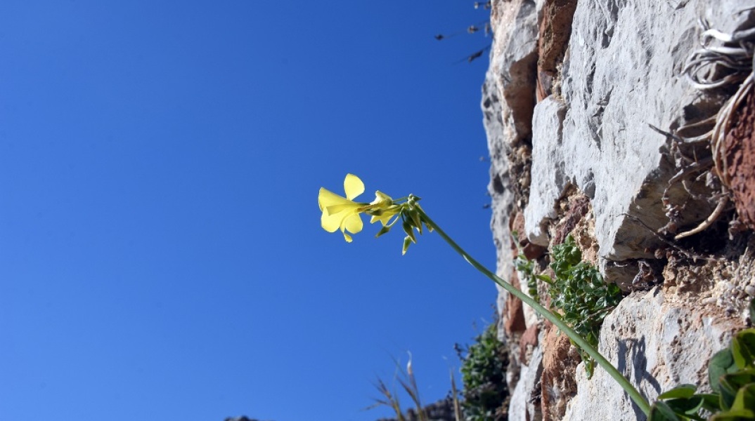 Καιρός: «Ανοιξιάτικες» θερμοκρασίες την Τρίτη