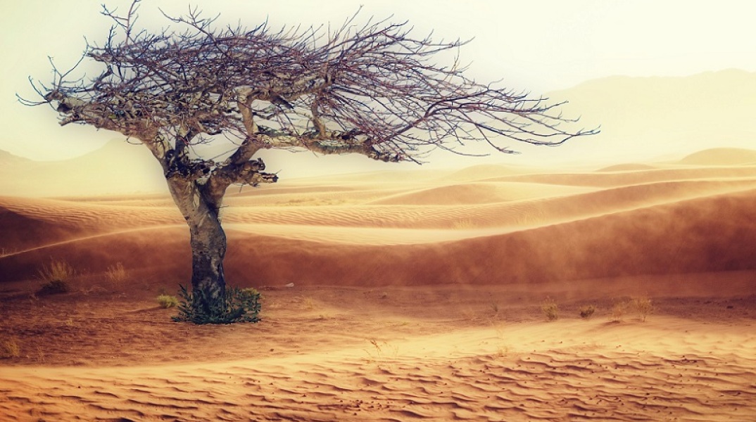 Κλιματική Αλλαγή: Ρεκόρ υπερθέρμανσης τα επτά τελευταία χρόνια 