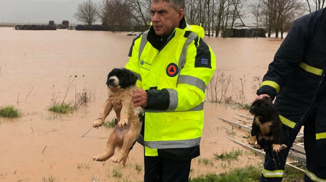 «Δοιμήδης» - Φάρσαλα: Διάσωση κουταβιών που κινδύνεψαν να πνιγούν
