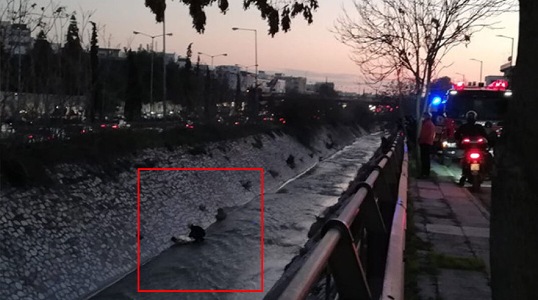 Πυροσβέστης στον Κηφισό ανασύρει γυναίκα που έπεσε μέσα στην κοίτη