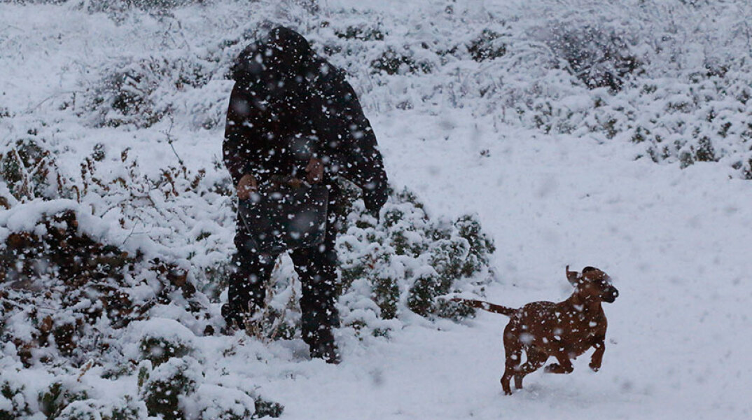 Άνδρας με σκύλο στα χιόνια εν μέσω κακοκαιρίας