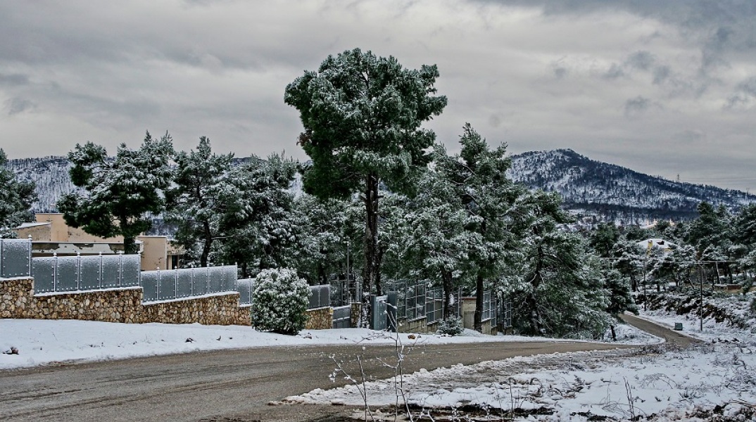 ΧΙΟΝΙΑ ΣΤΗΝ ΙΠΠΟΚΡΑΤΕΙΟ ΠΟΛΙΤΕΙΑ