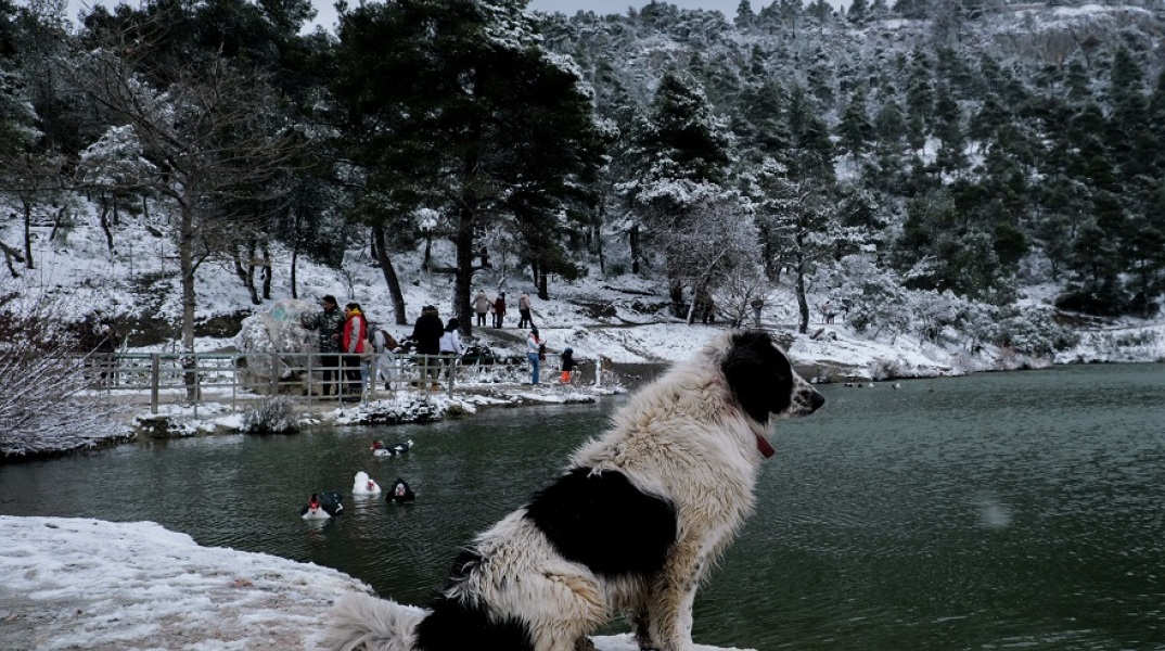 Κακοκαιρία «Ελπίς»