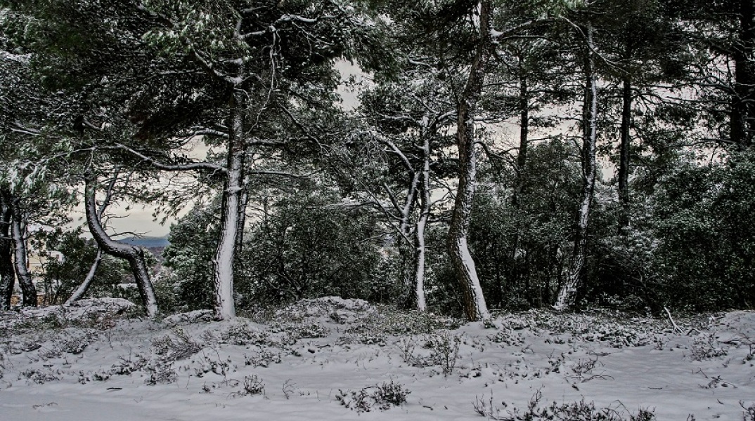 Κακοκαιρία «Ελπίς»: Στους -17,1 έπεσε ο υδράργυρος στον Νέο Καύκασο