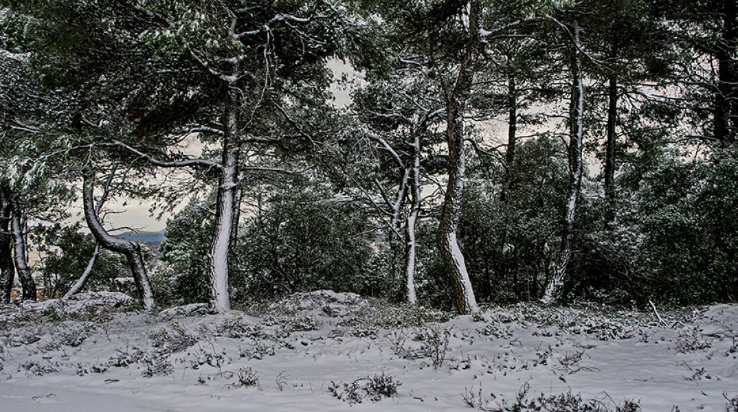 Κακοκαιρία «Ελπίς» 