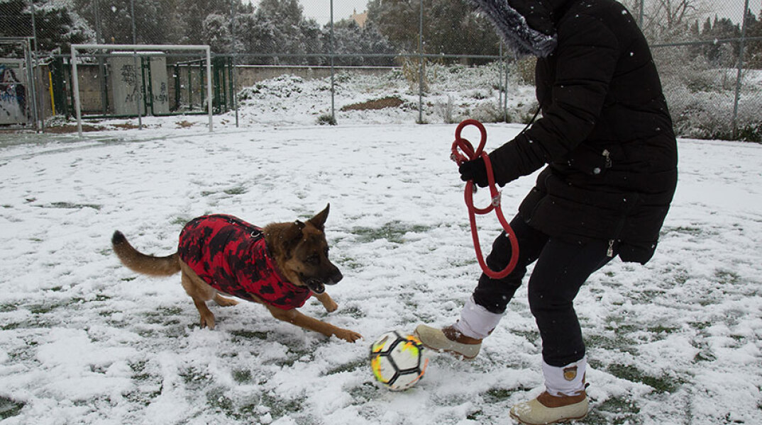 Κακοκαιρία Ελπίδα: Άνδρας παίζει μπάλα με τον σκύλο του στα χιόνια στις Αχαρνές