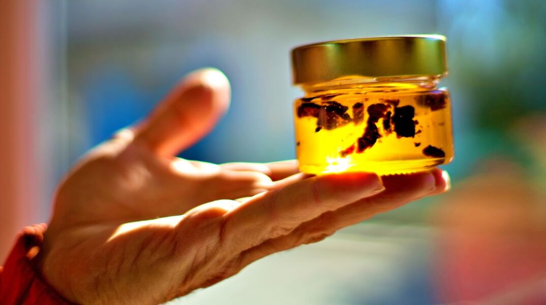 «Μέλι της Αρκούδας»: βιολογικό μέλι από τα βουνά της Δράμας