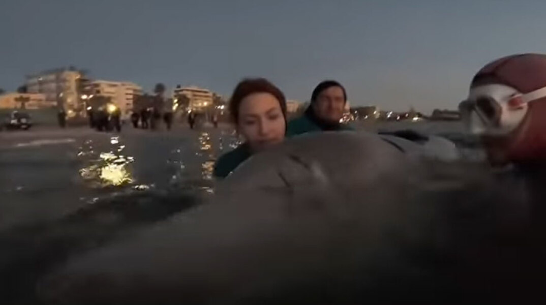 Η εθελόντρια που τραγουδά στη φάλαινα ζιφιός στον Άλιμο