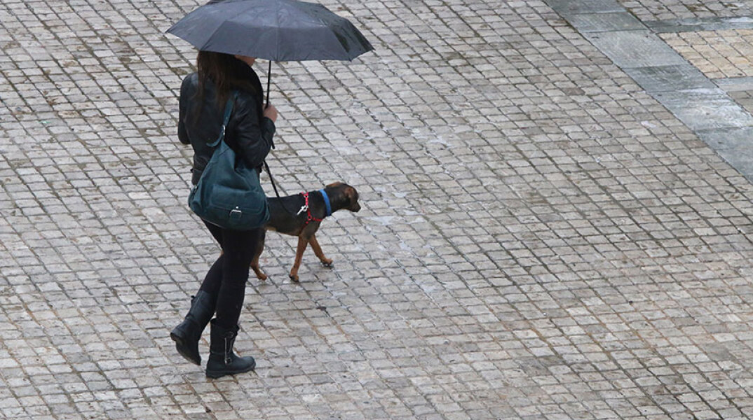 Γυναίκα με τον σκύλο της στη βροχή