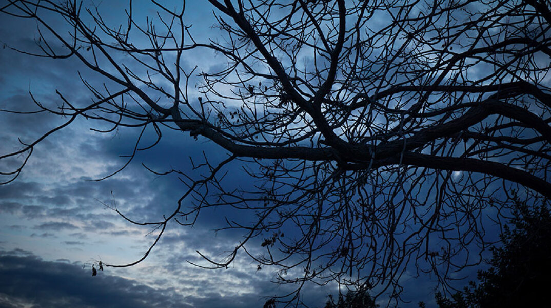 Σύννεφα πάνω από τα κλαδιά δέντρου