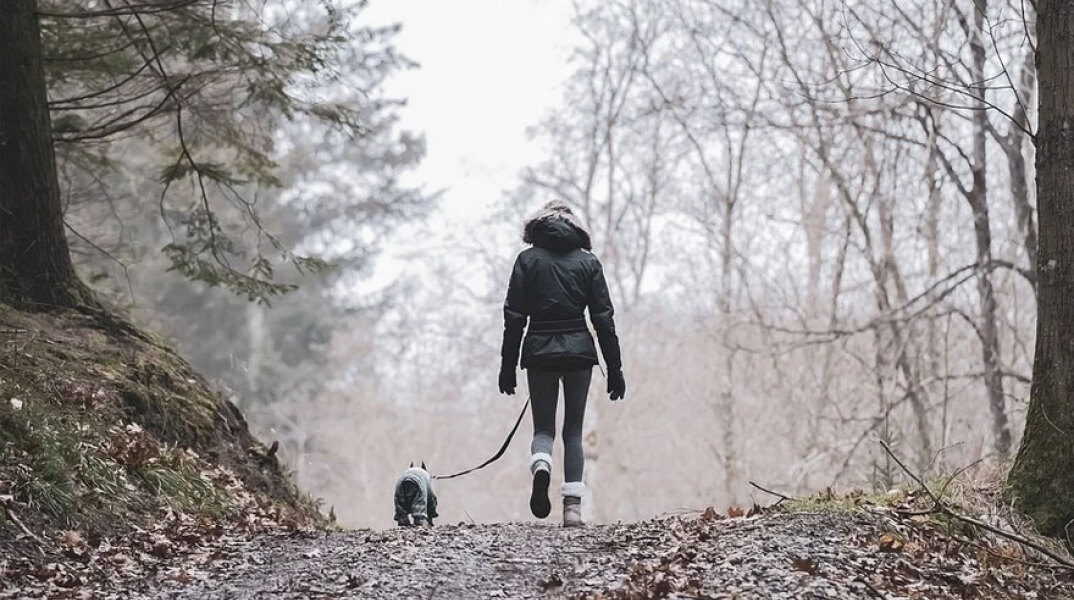 Βόλτα με τον σκύλο στο δάσος