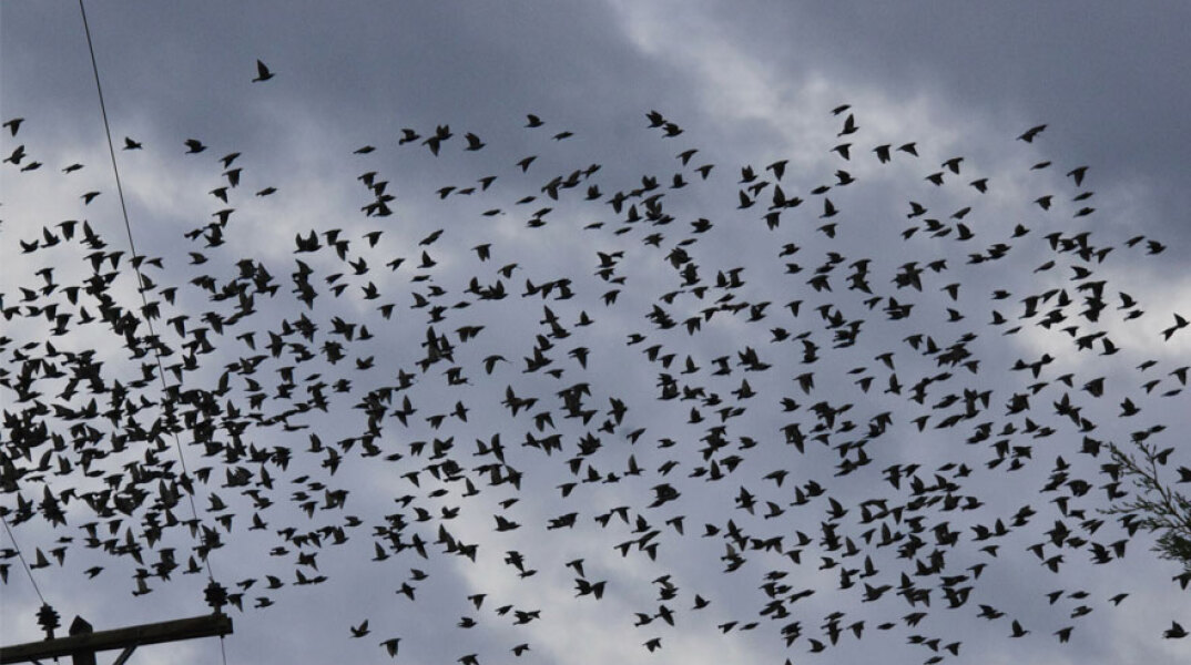 Με νεφώσεις ο καιρός σήμερα Κυριακή (06.02), σύμφωνα με την πρόγνωση ΕΜΥ